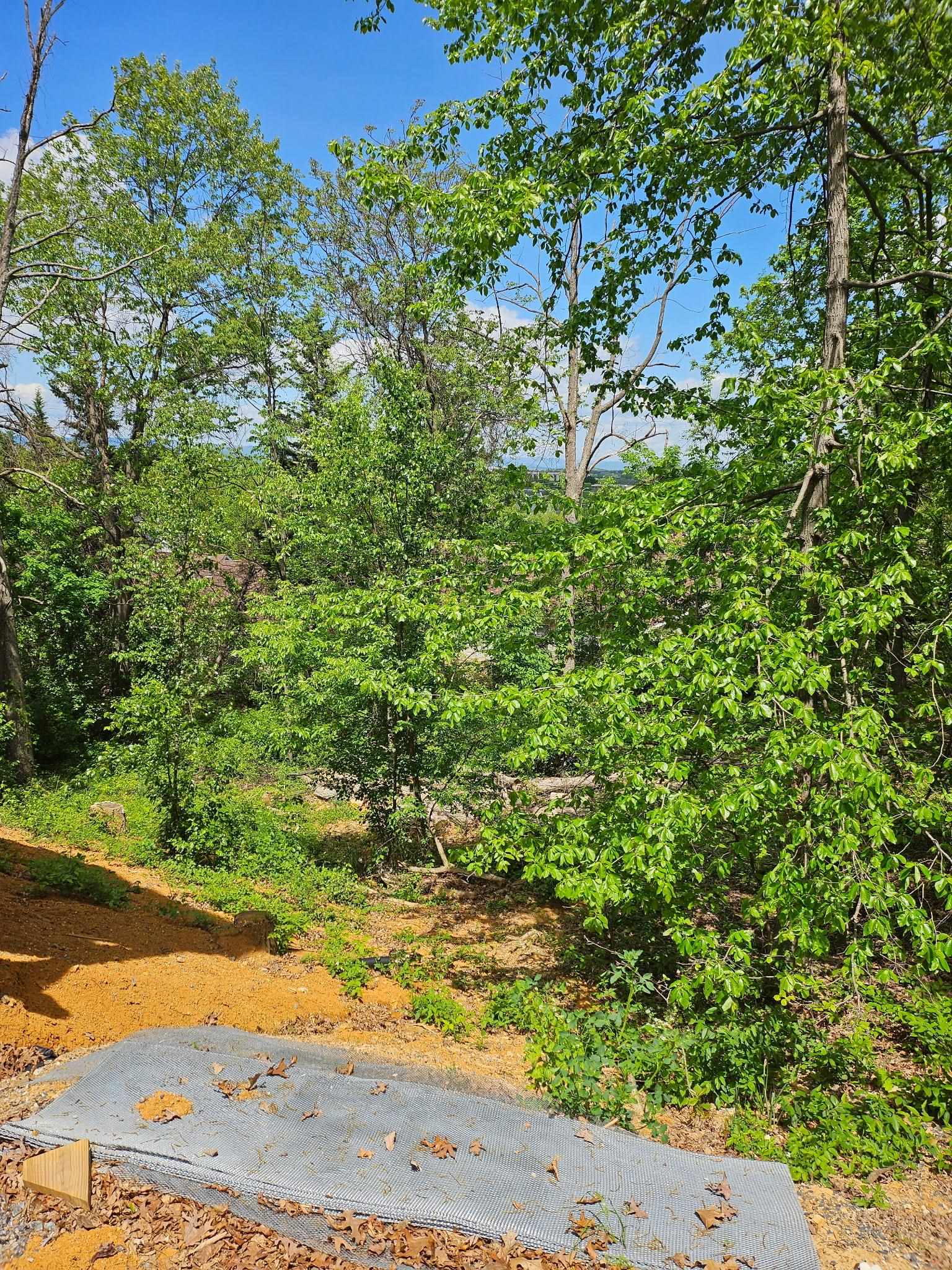 0 RIDGE VIEW LN, ELKTON, Virginia 22827, ,Farm,0 RIDGE VIEW LN,664435 MLS # 664435
