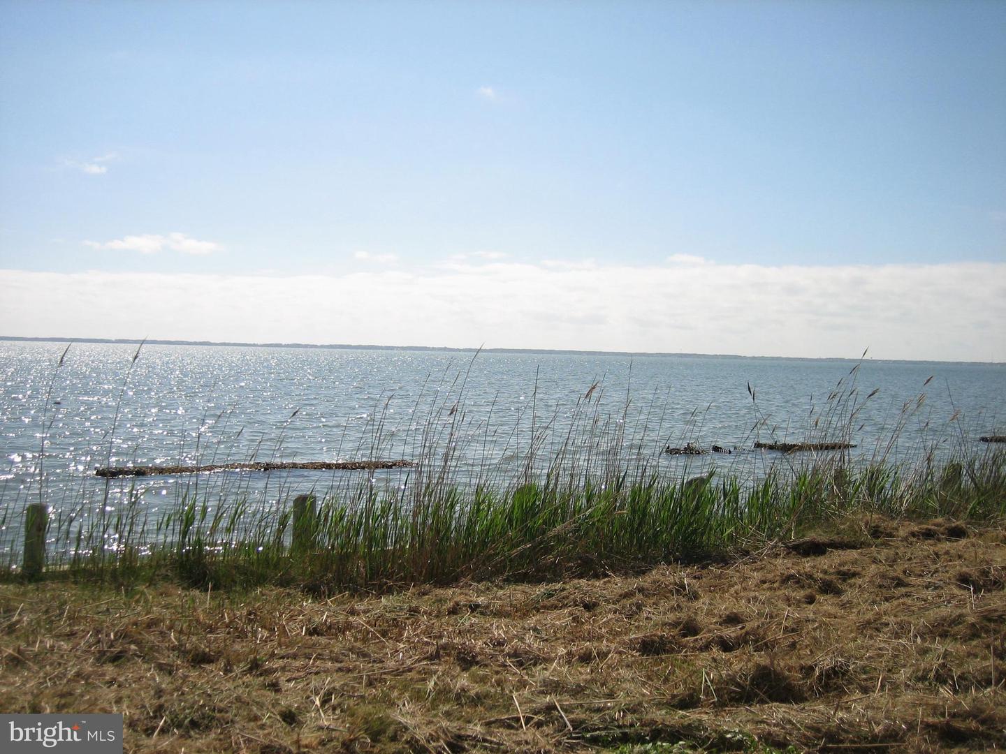 748 SEAVIEW ST, GREENBACKVILLE, Virginia 23356, ,Land,For sale,748 SEAVIEW ST,VAAC2001866 MLS # VAAC2001866
