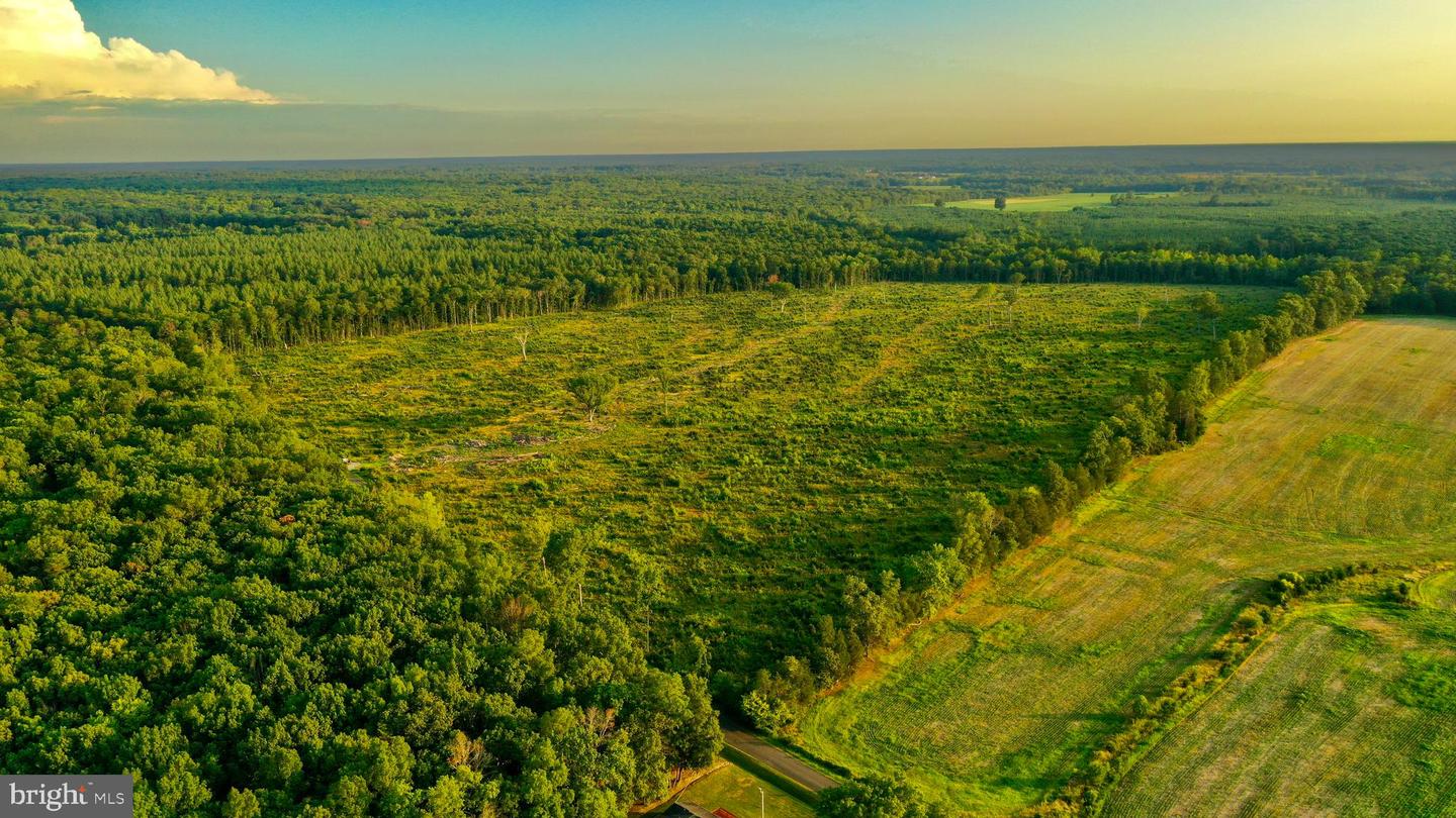 0 OLD MILL RD, MIDLAND, Virginia 22728, ,Farm,For sale,0 OLD MILL RD,VAFQ2016622 MLS # VAFQ2016622