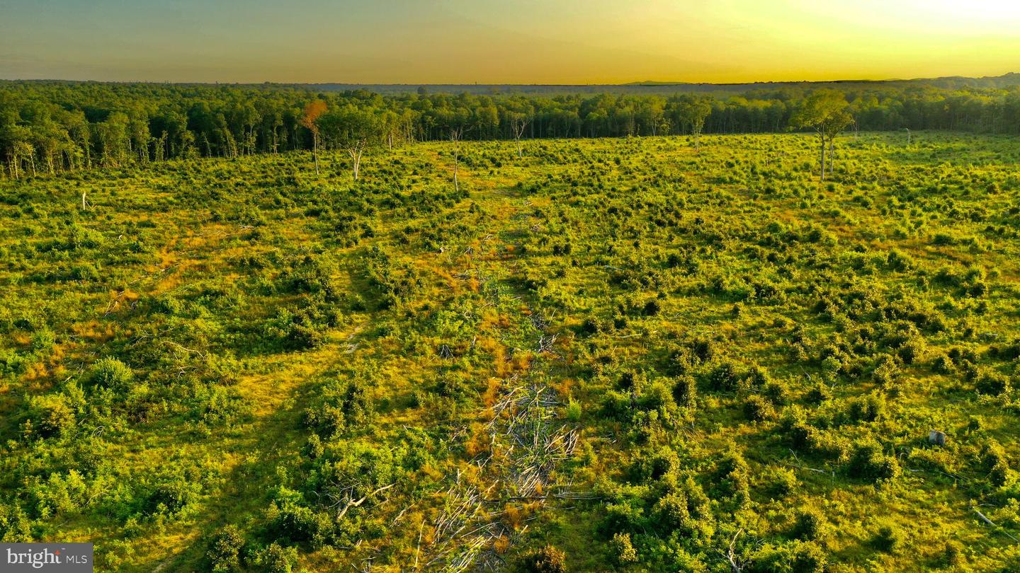 0 OLD MILL RD, MIDLAND, Virginia 22728, ,Farm,For sale,0 OLD MILL RD,VAFQ2016622 MLS # VAFQ2016622