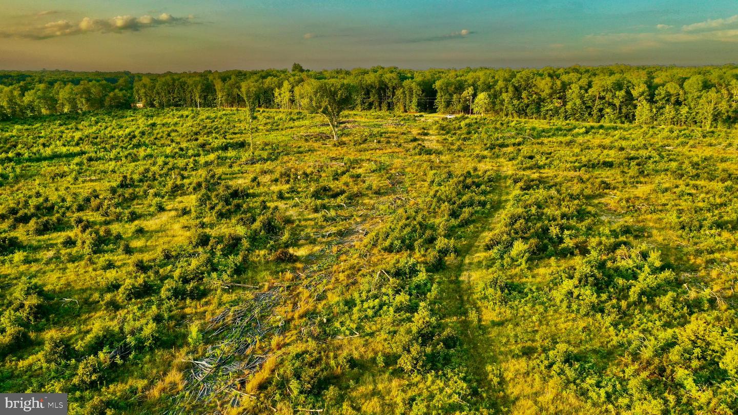 0 OLD MILL RD, MIDLAND, Virginia 22728, ,Farm,For sale,0 OLD MILL RD,VAFQ2016622 MLS # VAFQ2016622