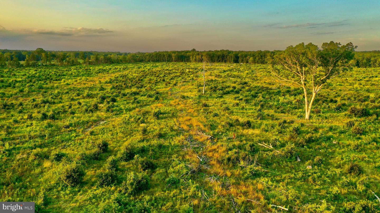 0 OLD MILL RD, MIDLAND, Virginia 22728, ,Farm,For sale,0 OLD MILL RD,VAFQ2016622 MLS # VAFQ2016622