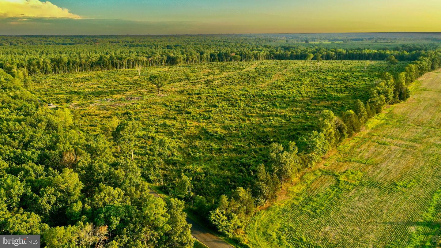 0 OLD MILL RD, MIDLAND, Virginia 22728, ,Farm,For sale,0 OLD MILL RD,VAFQ2016622 MLS # VAFQ2016622