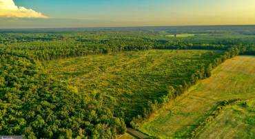 0 OLD MILL RD, MIDLAND, Virginia 22728, ,Farm,For sale,0 OLD MILL RD,VAFQ2016622 MLS # VAFQ2016622