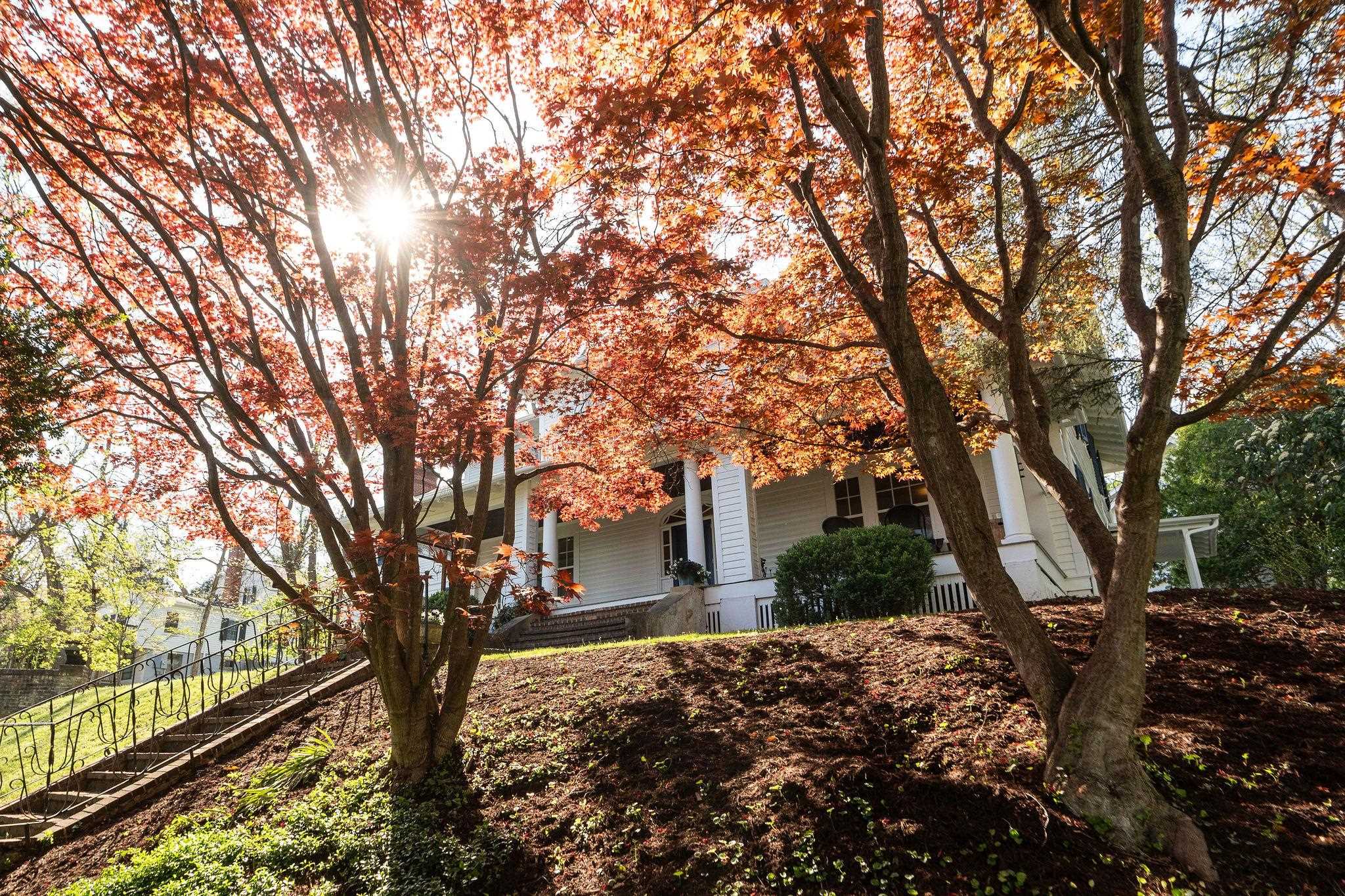 675 E BEVERLEY ST, STAUNTON, Virginia 24401, 4 Bedrooms Bedrooms, ,3 BathroomsBathrooms,Residential,675 E BEVERLEY ST,663500 MLS # 663500