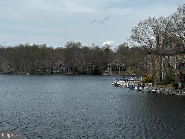 11200 BEAVER TRAIL CT #11200, RESTON, Virginia 20191, 2 Bedrooms Bedrooms, ,2 BathroomsBathrooms,Residential,For sale,11200 BEAVER TRAIL CT #11200,VAFX2231308 MLS # VAFX2231308