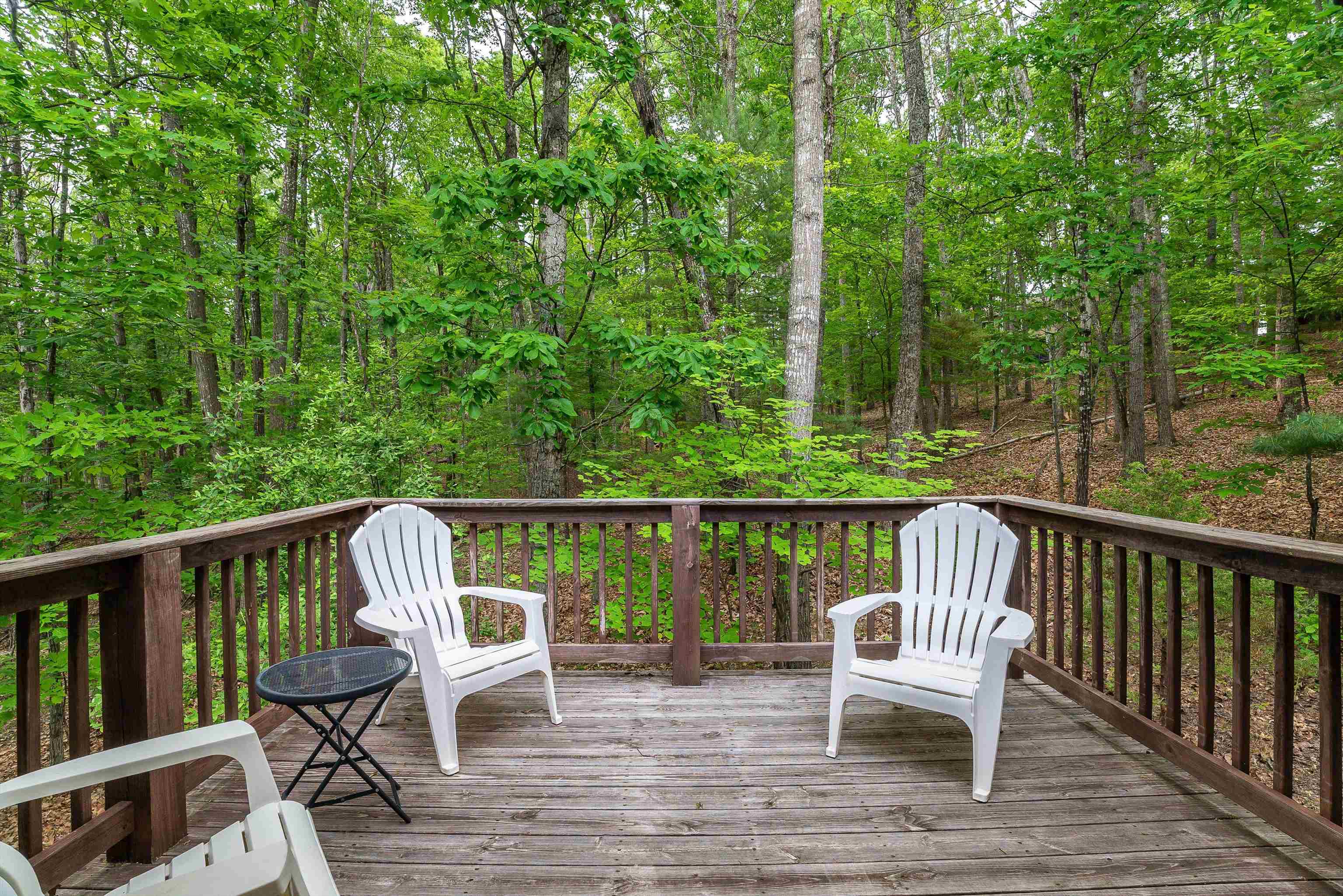 194 SPOTSWOOD LN, MCGAHEYSVILLE, Virginia 22840, 4 Bedrooms Bedrooms, ,3 BathroomsBathrooms,Residential,194 SPOTSWOOD LN,664461 MLS # 664461