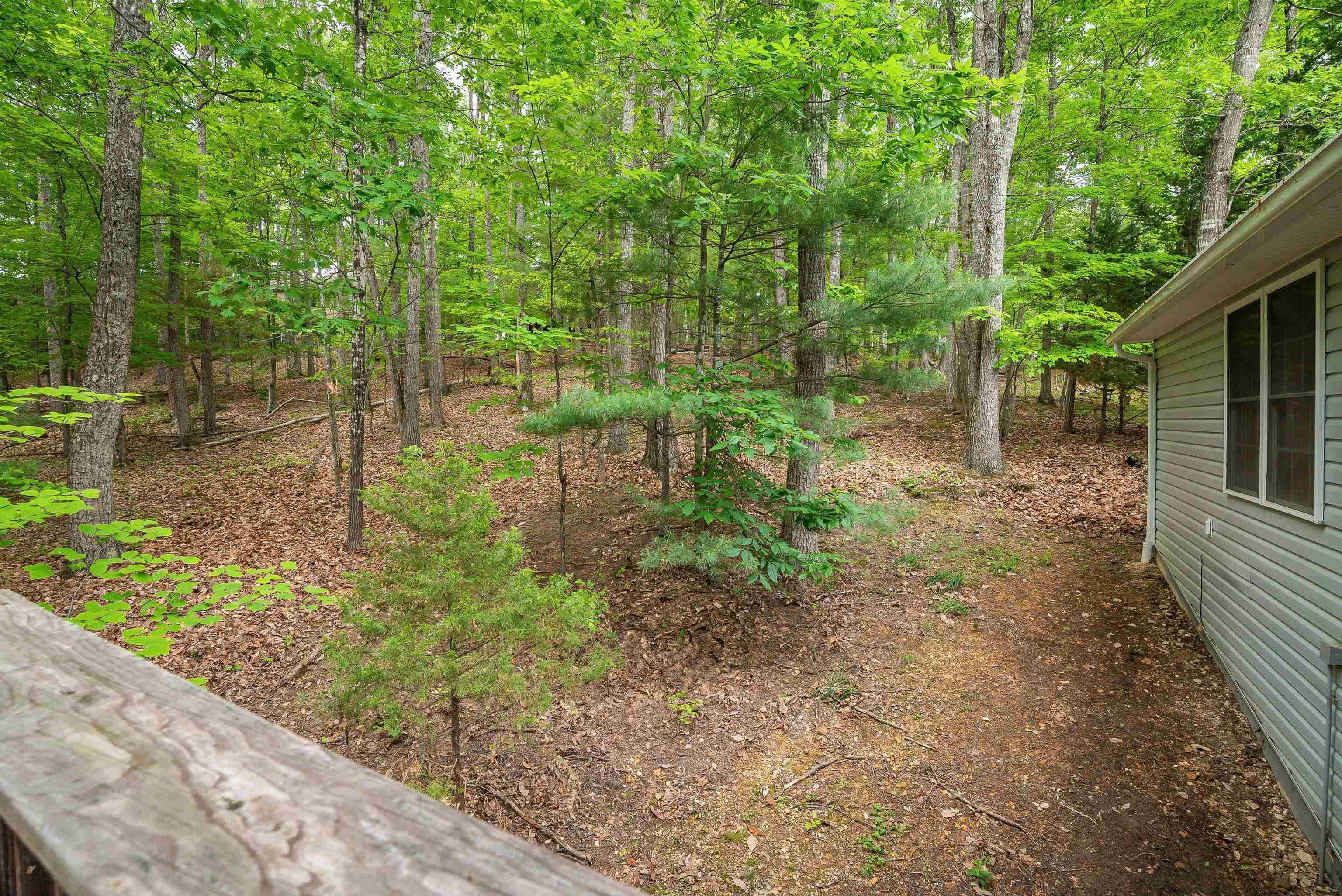 194 SPOTSWOOD LN, MCGAHEYSVILLE, Virginia 22840, 4 Bedrooms Bedrooms, ,3 BathroomsBathrooms,Residential,194 SPOTSWOOD LN,664461 MLS # 664461