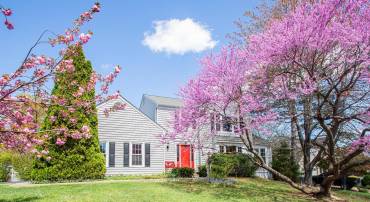 1008 PAGE CT, HERNDON, Virginia 20170, 5 Bedrooms Bedrooms, ,3 BathroomsBathrooms,Residential,For sale,1008 PAGE CT,VAFX2234944 MLS # VAFX2234944