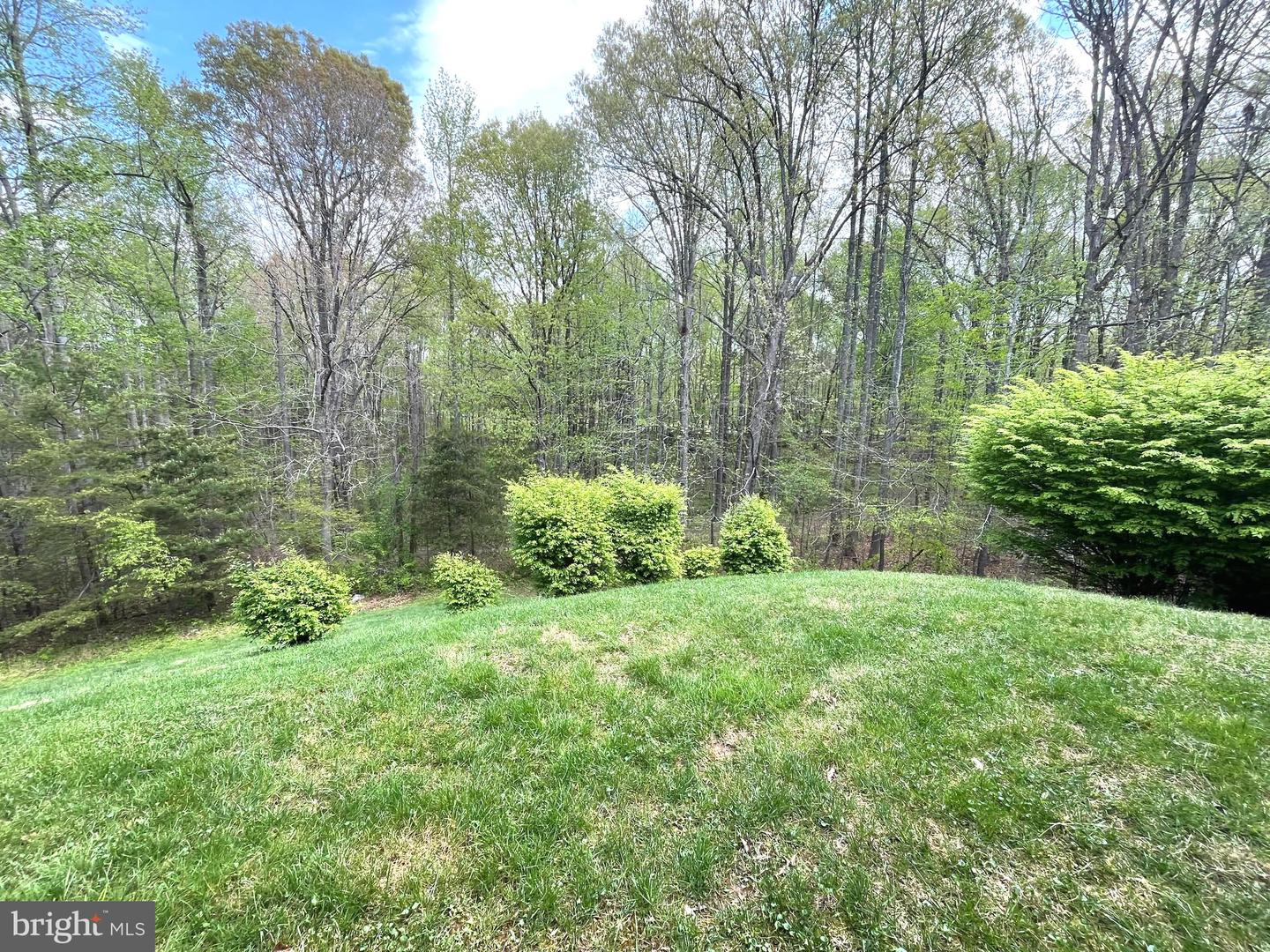 12206 MEADOW BRANCH WAY, FREDERICKSBURG, Virginia 22407, 2 Bedrooms Bedrooms, ,2 BathroomsBathrooms,Residential,For sale,12206 MEADOW BRANCH WAY,VASP2032574 MLS # VASP2032574