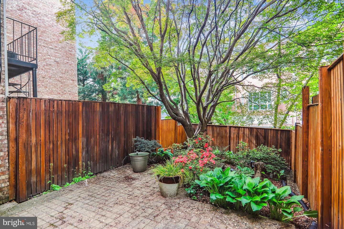 3749 1/2 KANAWHA ST NW, WASHINGTON, District Of Columbia 20015, 3 Bedrooms Bedrooms, ,3 BathroomsBathrooms,Residential,For sale,3749 1/2 KANAWHA ST NW,DCDC2199864 MLS # DCDC2199864