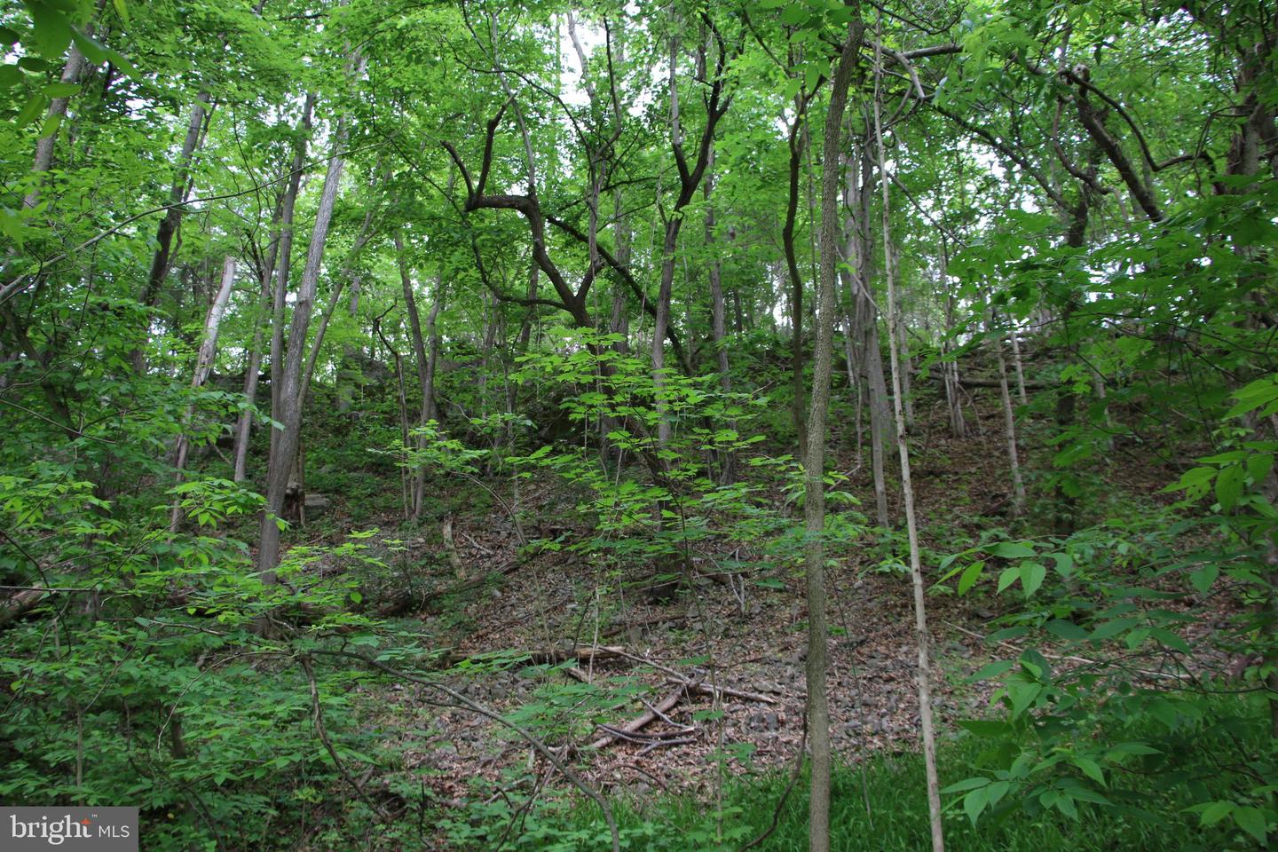 STONEWALL JACKSON HWY, FRONT ROYAL, Virginia 22630, ,Land,For sale,STONEWALL JACKSON HWY,VAWR2011074 MLS # VAWR2011074