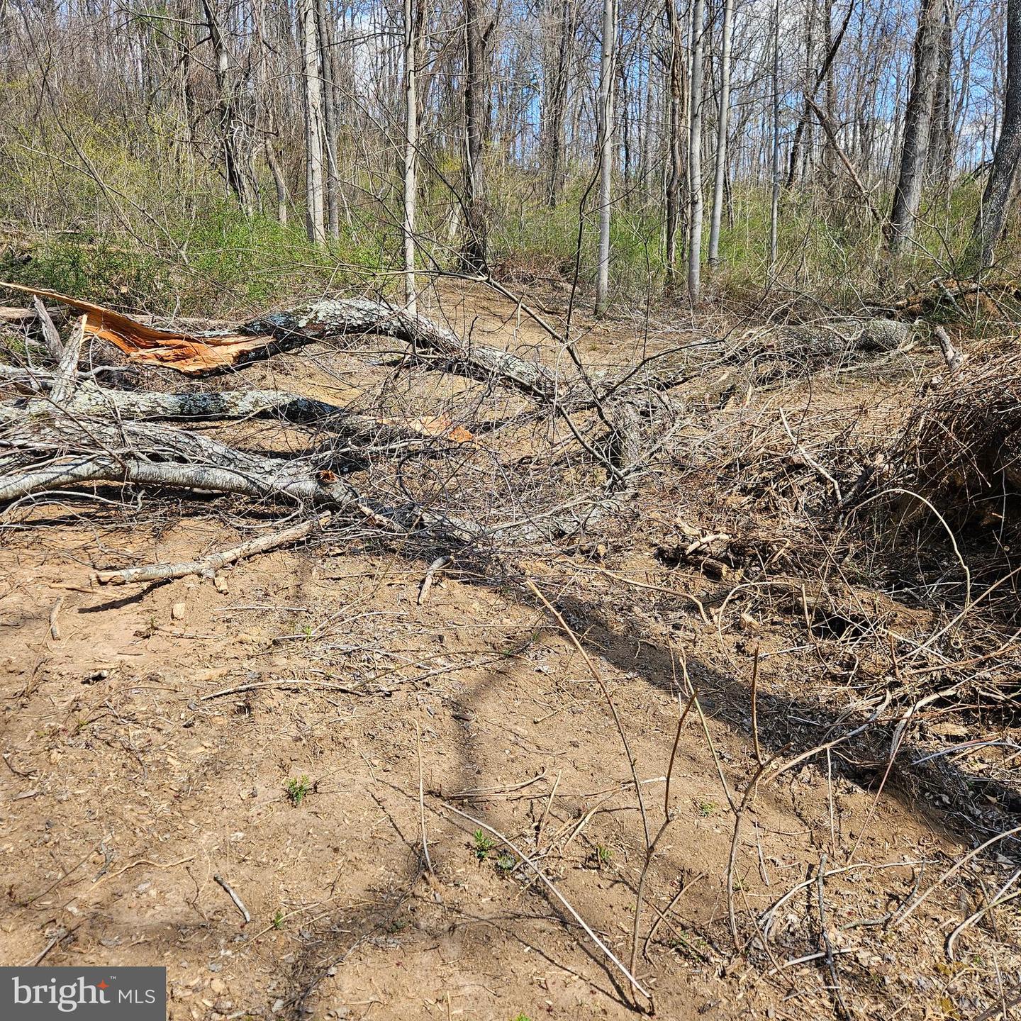 0 MOON ROAD, SPERRYVILLE, Virginia 22740, ,Land,For sale,0 MOON ROAD,VARP2002088 MLS # VARP2002088