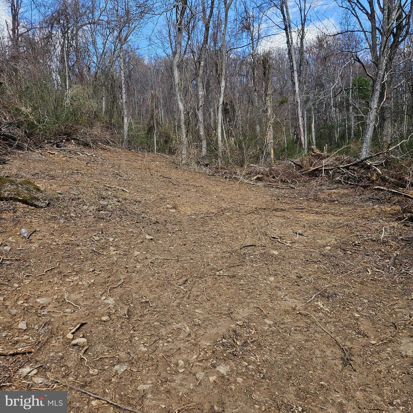 0 MOON ROAD, SPERRYVILLE, Virginia 22740, ,Land,For sale,0 MOON ROAD,VARP2002088 MLS # VARP2002088