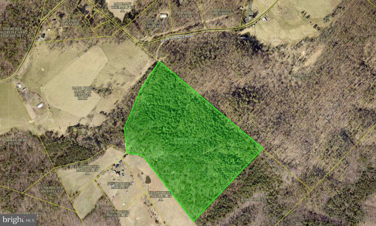 ALUM SPRINGS, EDINBURG, Virginia 22824, ,Land,For sale,ALUM SPRINGS,VASH2011454 MLS # VASH2011454