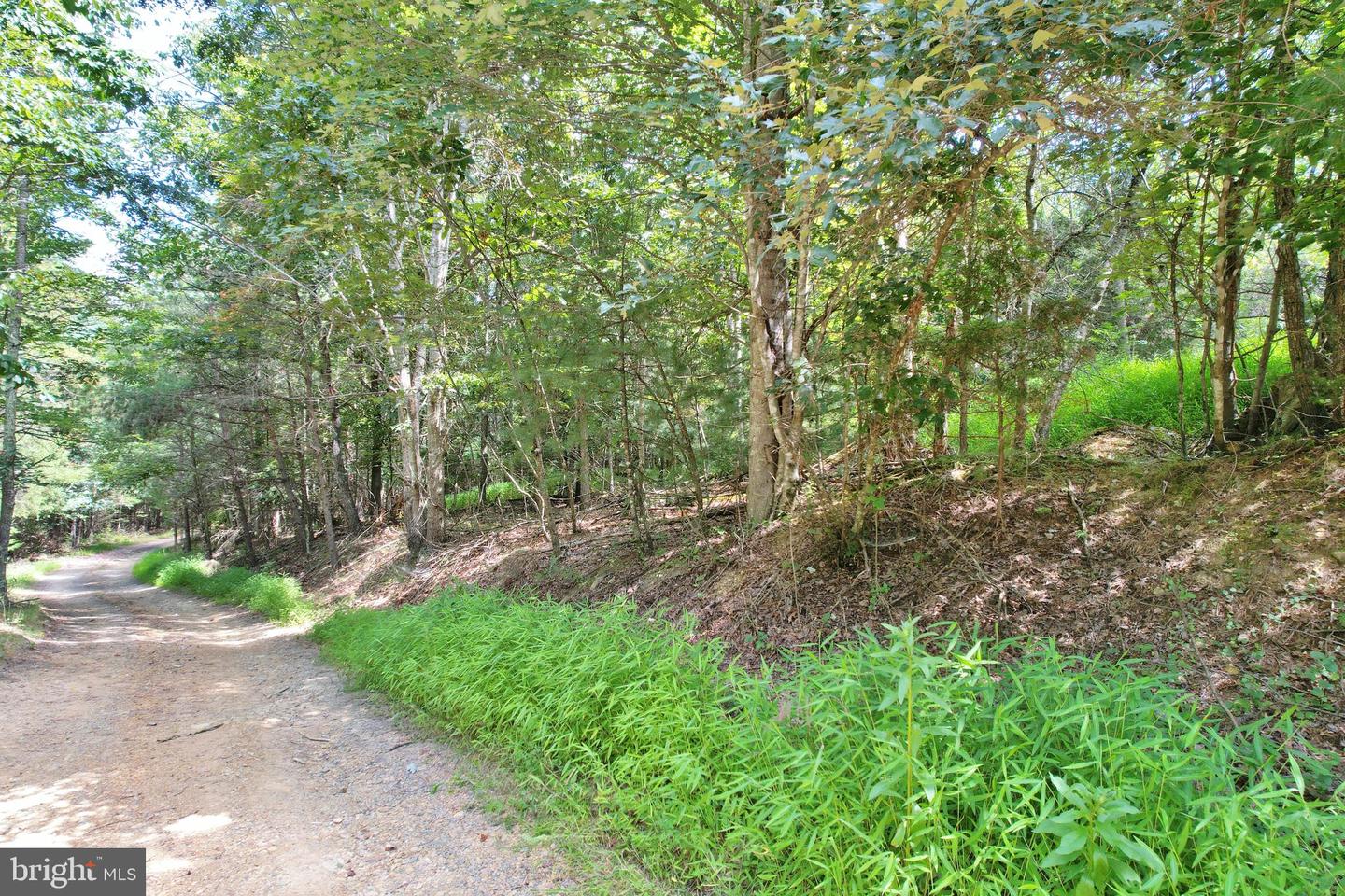 ALUM SPRINGS RD, EDINBURG, Virginia 22824, ,Land,For sale,ALUM SPRINGS RD,VASH2011454 MLS # VASH2011454