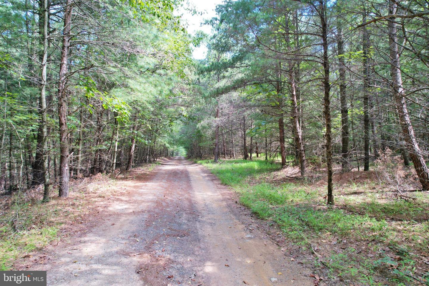 ALUM SPRINGS RD, EDINBURG, Virginia 22824, ,Land,For sale,ALUM SPRINGS RD,VASH2011454 MLS # VASH2011454