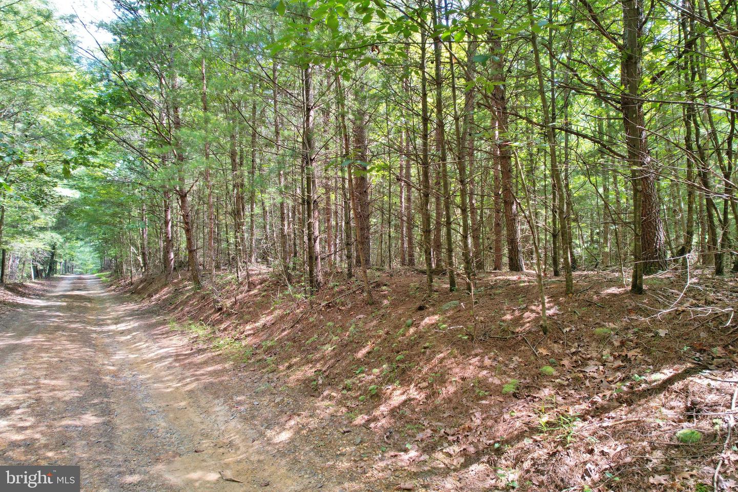 ALUM SPRINGS RD, EDINBURG, Virginia 22824, ,Land,For sale,ALUM SPRINGS RD,VASH2011454 MLS # VASH2011454