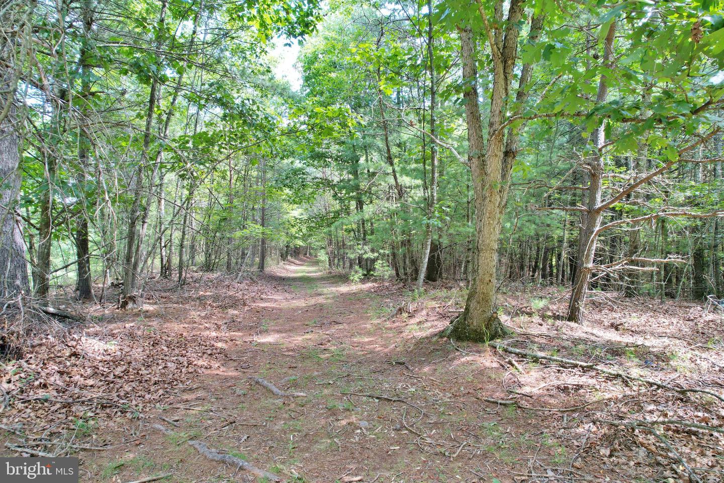 ALUM SPRINGS RD, EDINBURG, Virginia 22824, ,Land,For sale,ALUM SPRINGS RD,VASH2011454 MLS # VASH2011454