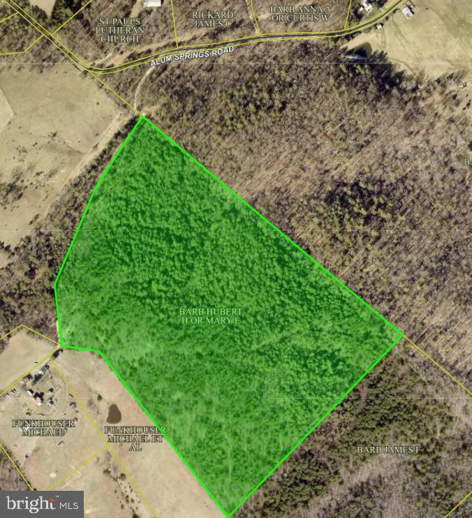 ALUM SPRINGS RD, EDINBURG, Virginia 22824, ,Land,For sale,ALUM SPRINGS RD,VASH2011454 MLS # VASH2011454