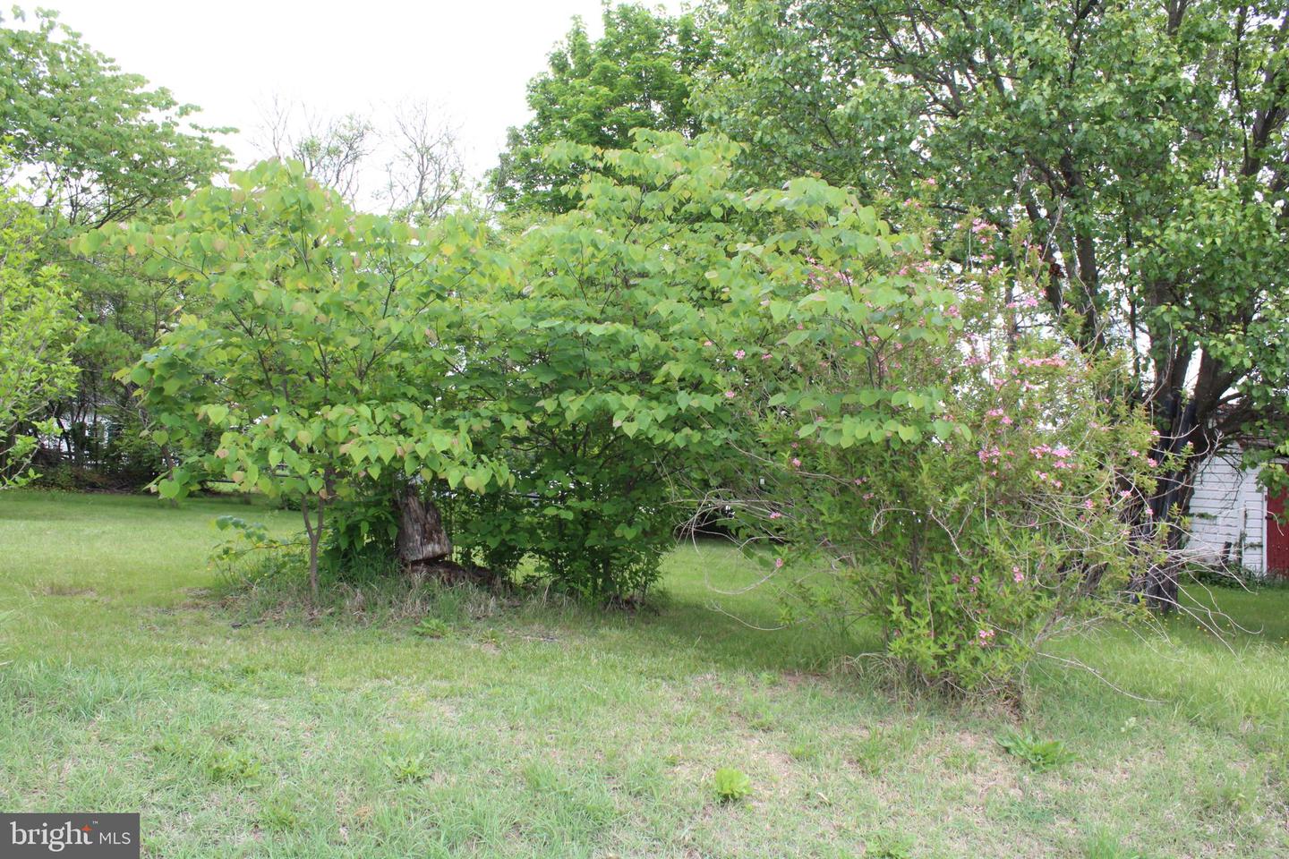 8030 CHURCH ST, MIDDLETOWN, Virginia 22645, 3 Bedrooms Bedrooms, ,1 BathroomBathrooms,Residential,For sale,8030 CHURCH ST,VAFV2034120 MLS # VAFV2034120