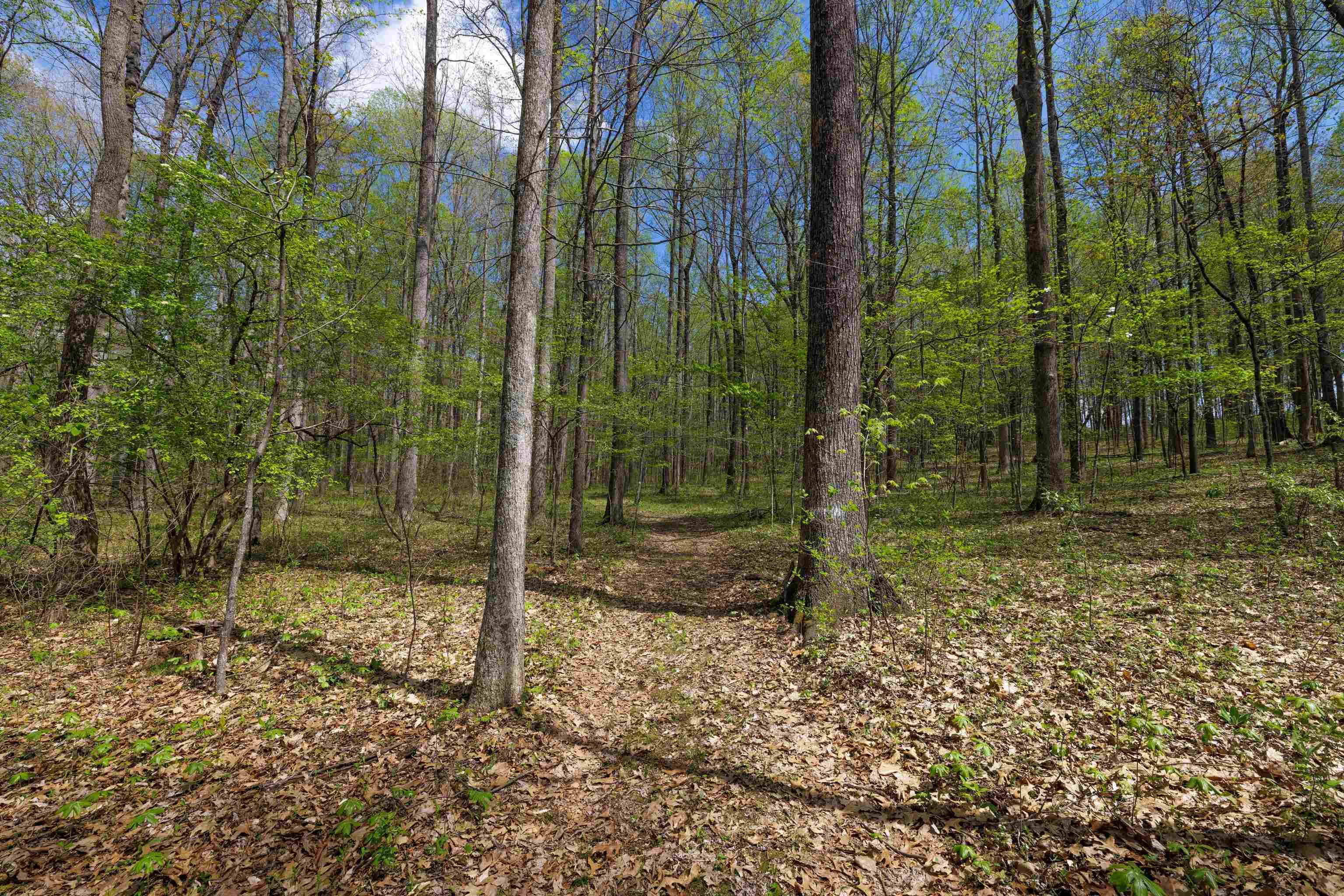 7598 N LEE HWY, RAPHINE, Virginia 24472, 3 Bedrooms Bedrooms, ,2 BathroomsBathrooms,Residential,7598 N LEE HWY,664489 MLS # 664489