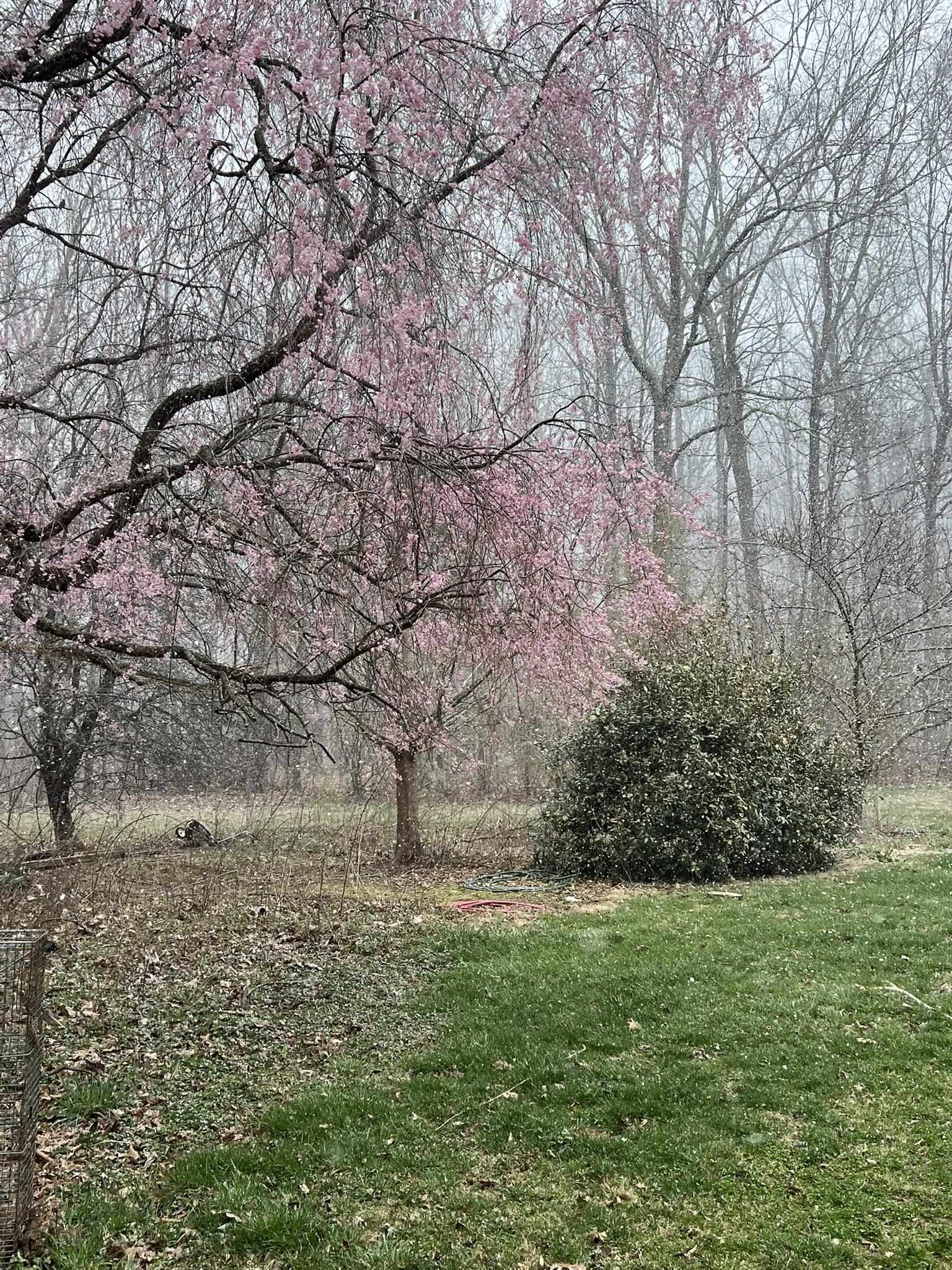 7598 N LEE HWY, RAPHINE, Virginia 24472, 3 Bedrooms Bedrooms, ,2 BathroomsBathrooms,Residential,7598 N LEE HWY,664489 MLS # 664489
