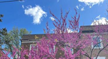 3818 KLINGLE PL NW, WASHINGTON, District Of Columbia 20016, 3 Bedrooms Bedrooms, ,3 BathroomsBathrooms,Residential,For sale,3818 KLINGLE PL NW,DCDC2200474 MLS # DCDC2200474