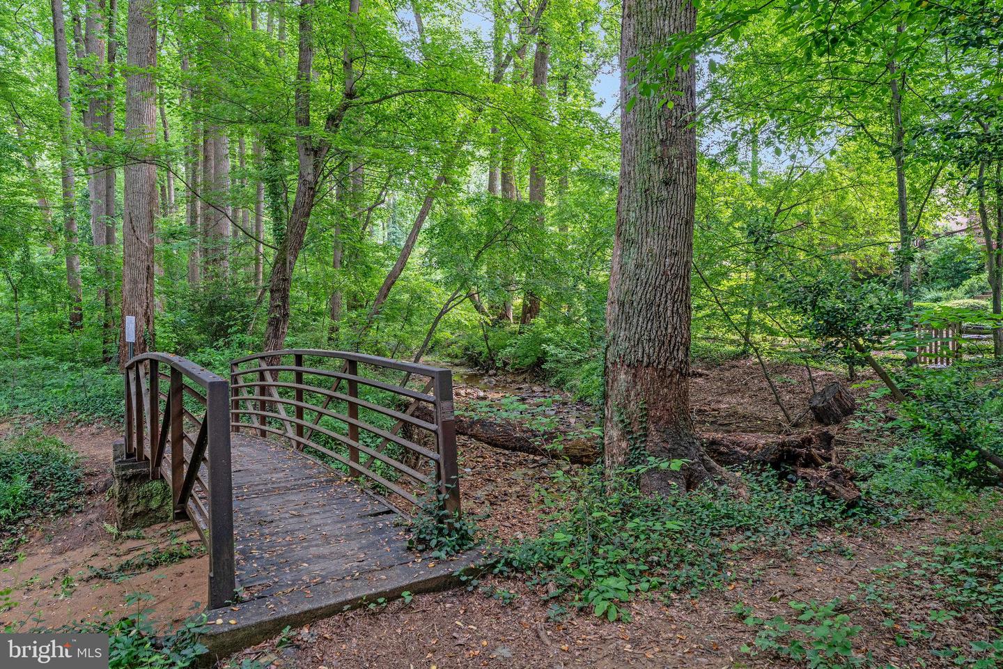 1564 FOREST VILLA LN, MCLEAN, Virginia 22101, 6 Bedrooms Bedrooms, ,6 BathroomsBathrooms,Residential,For sale,1564 FOREST VILLA LN,VAFX2240780 MLS # VAFX2240780