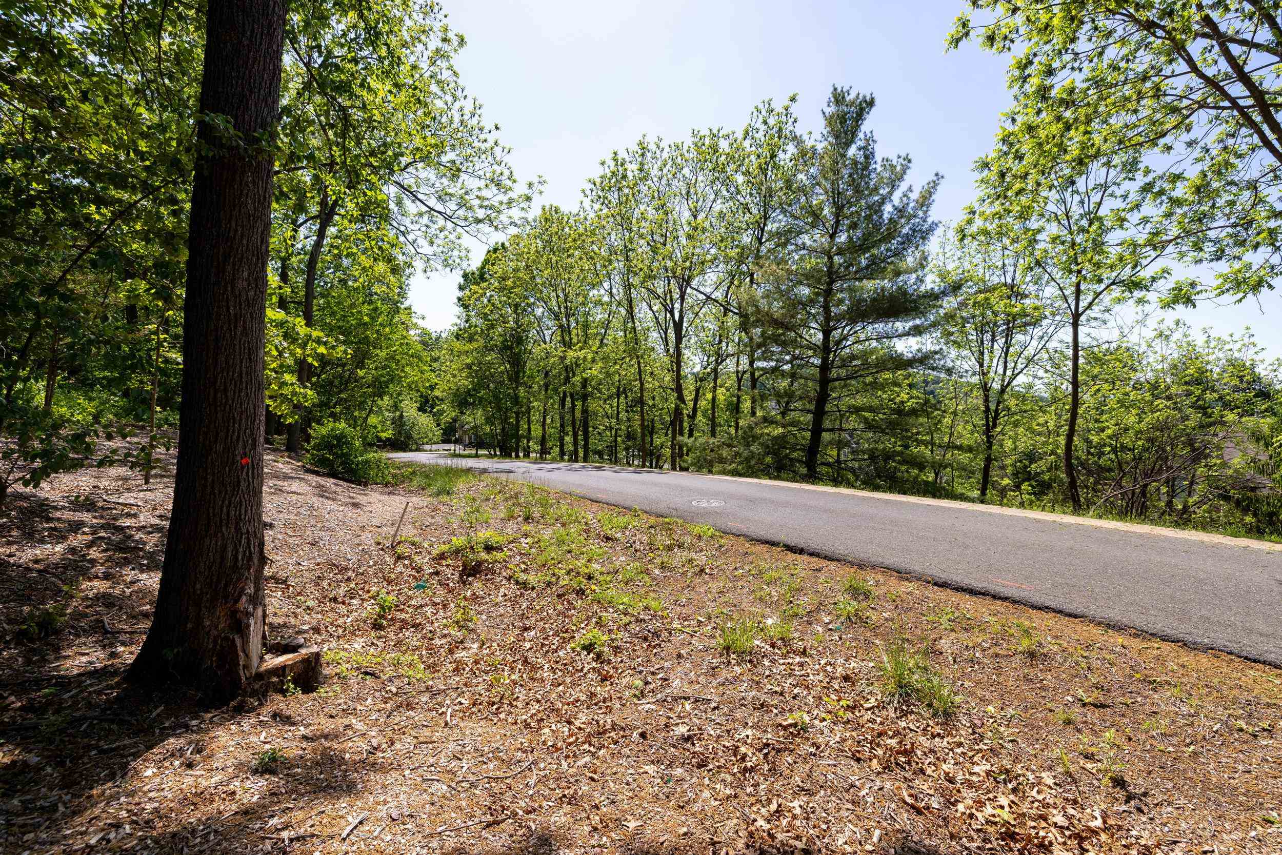 2261 PEARL LN, HARRISONBURG, Virginia 22801, ,Land,2261 PEARL LN,664521 MLS # 664521