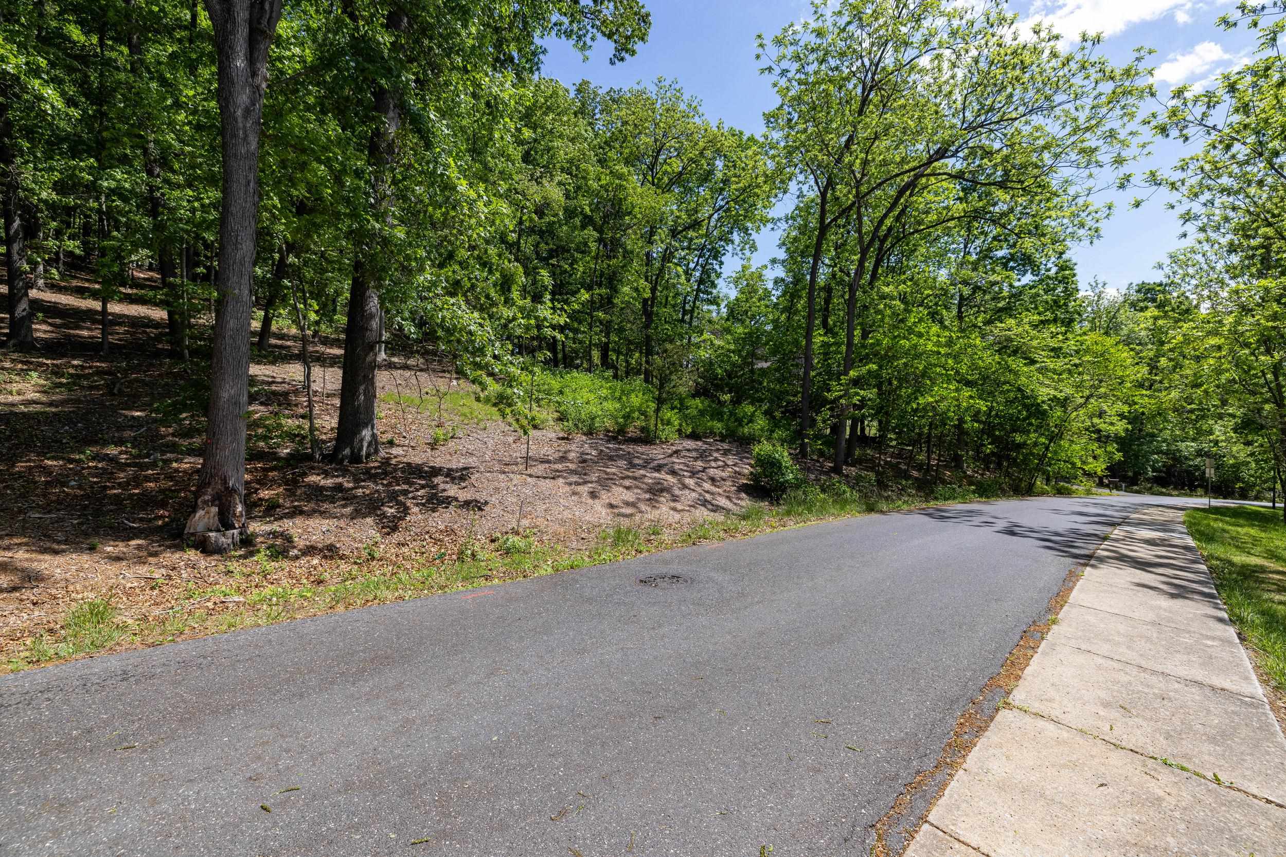 2261 PEARL LN, HARRISONBURG, Virginia 22801, ,Land,2261 PEARL LN,664521 MLS # 664521
