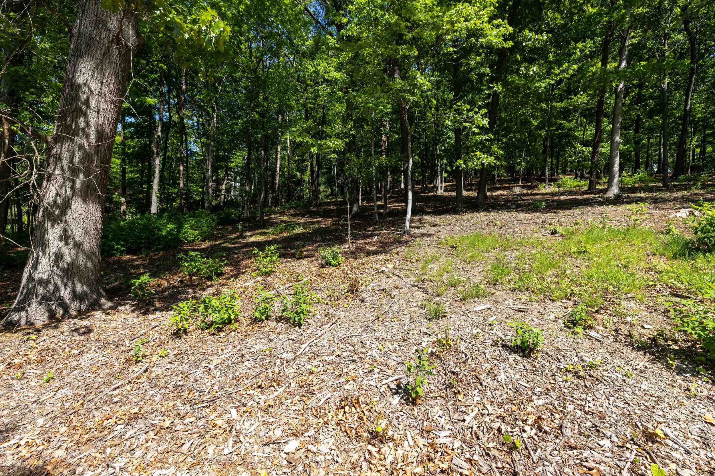 2261 PEARL LN, HARRISONBURG, Virginia 22801, ,Land,2261 PEARL LN,664521 MLS # 664521