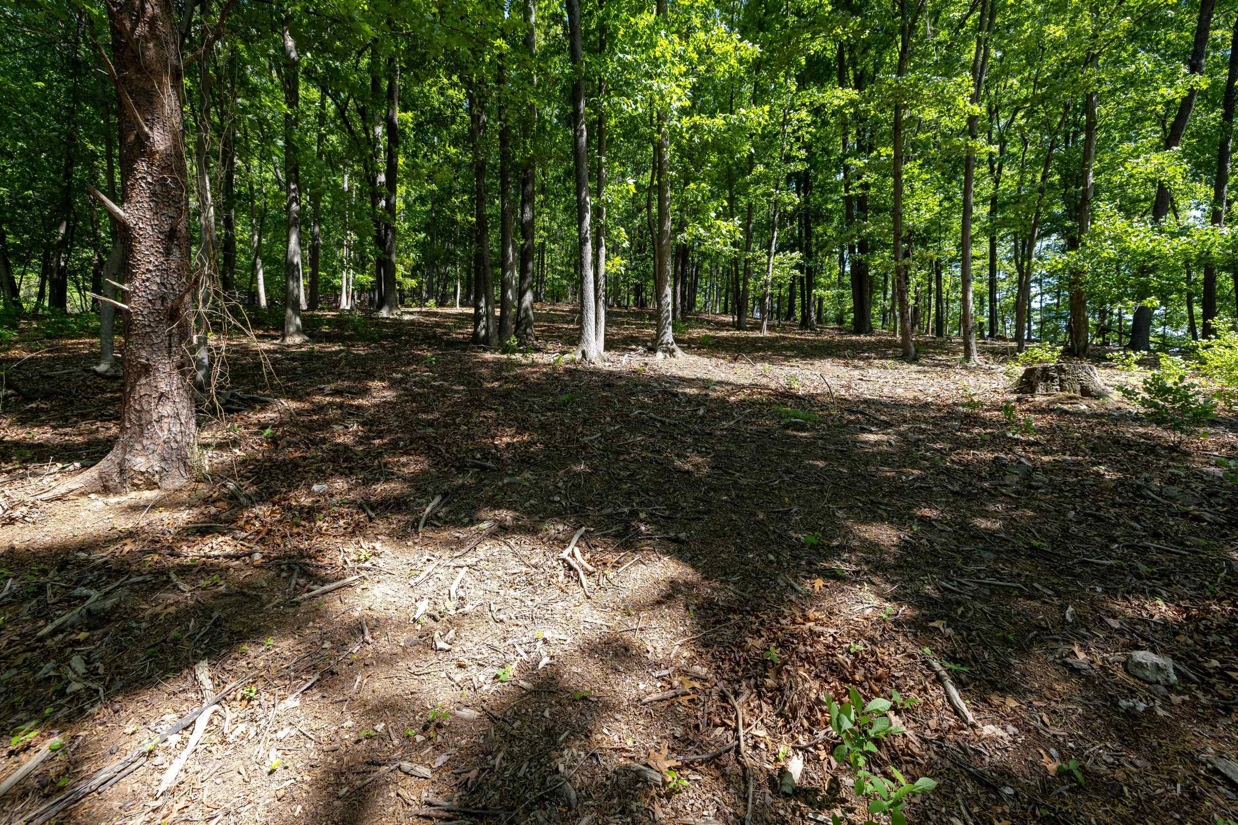 2261 PEARL LN, HARRISONBURG, Virginia 22801, ,Land,2261 PEARL LN,664521 MLS # 664521