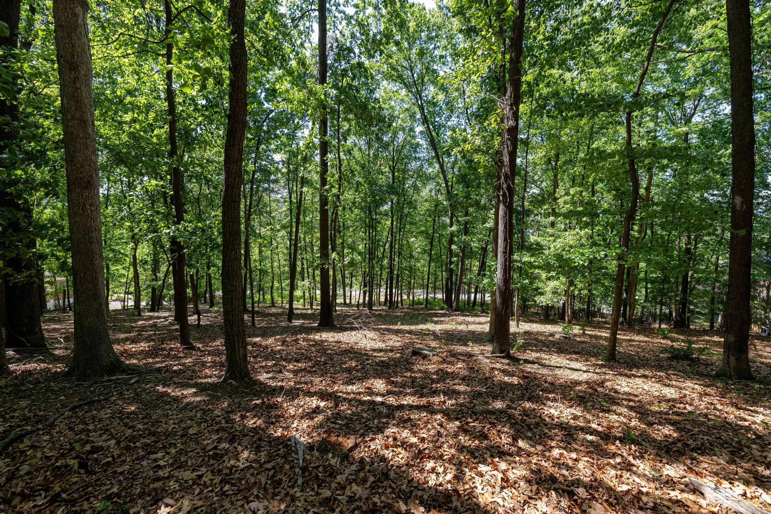 2261 PEARL LN, HARRISONBURG, Virginia 22801, ,Land,2261 PEARL LN,664521 MLS # 664521
