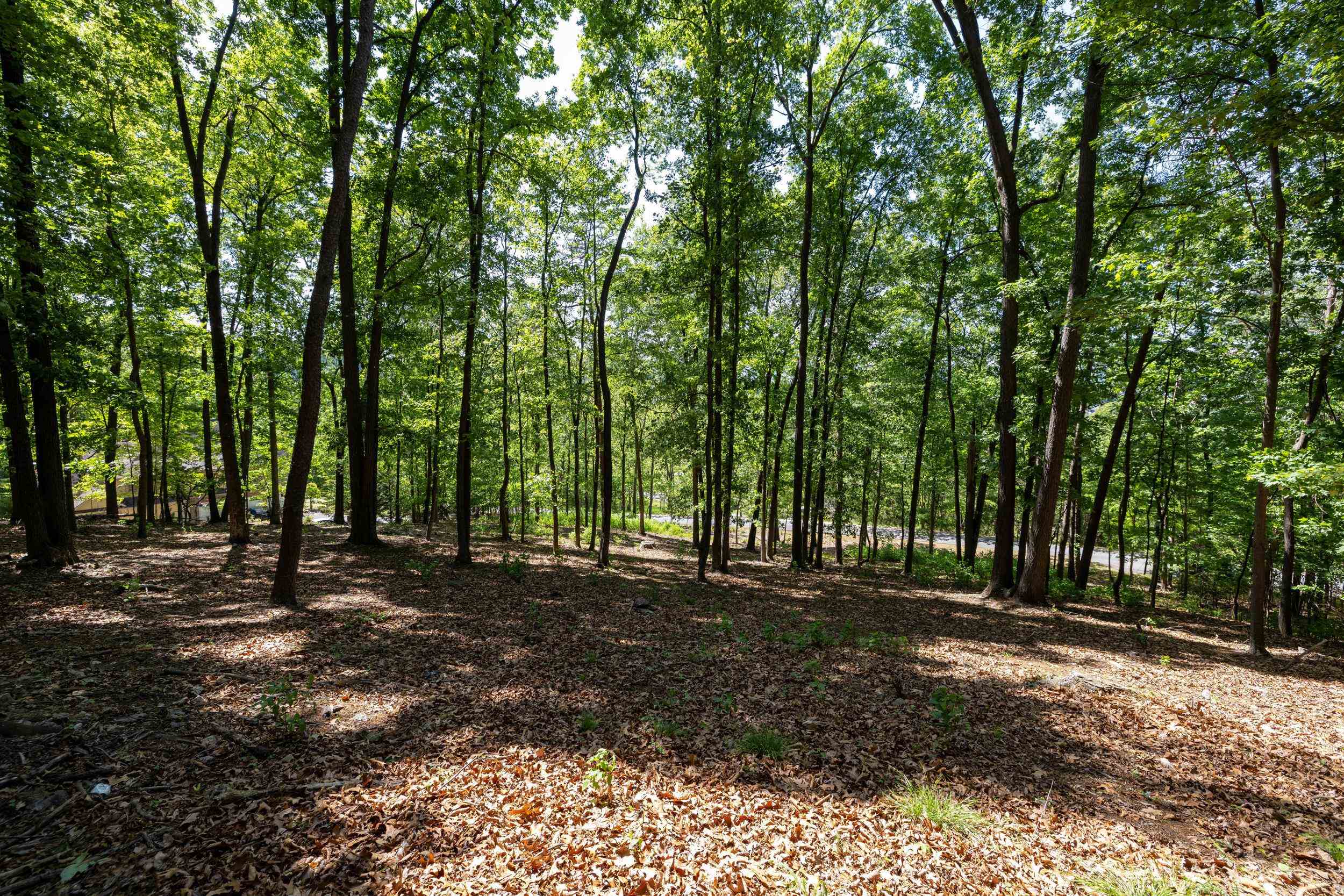 2261 PEARL LN, HARRISONBURG, Virginia 22801, ,Land,2261 PEARL LN,664521 MLS # 664521
