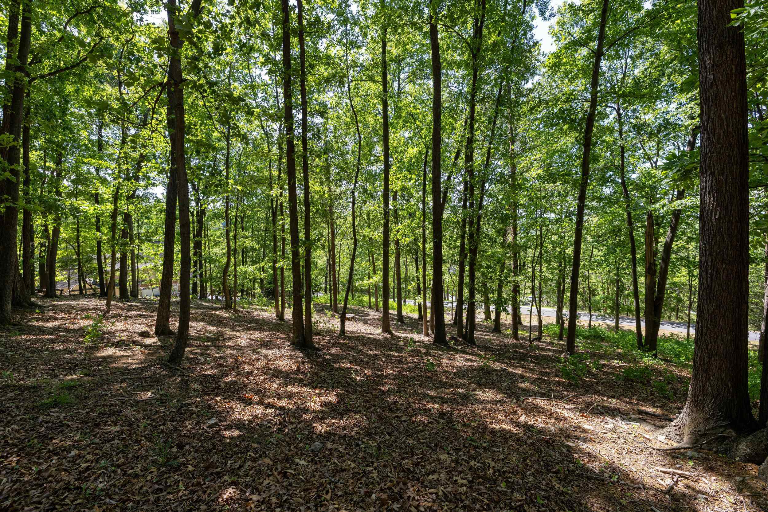 2261 PEARL LN, HARRISONBURG, Virginia 22801, ,Land,2261 PEARL LN,664521 MLS # 664521
