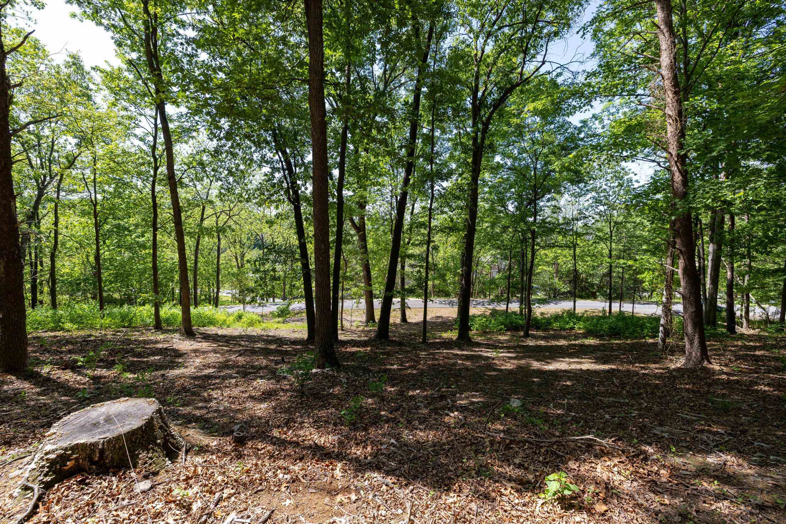 2261 PEARL LN, HARRISONBURG, Virginia 22801, ,Land,2261 PEARL LN,664521 MLS # 664521