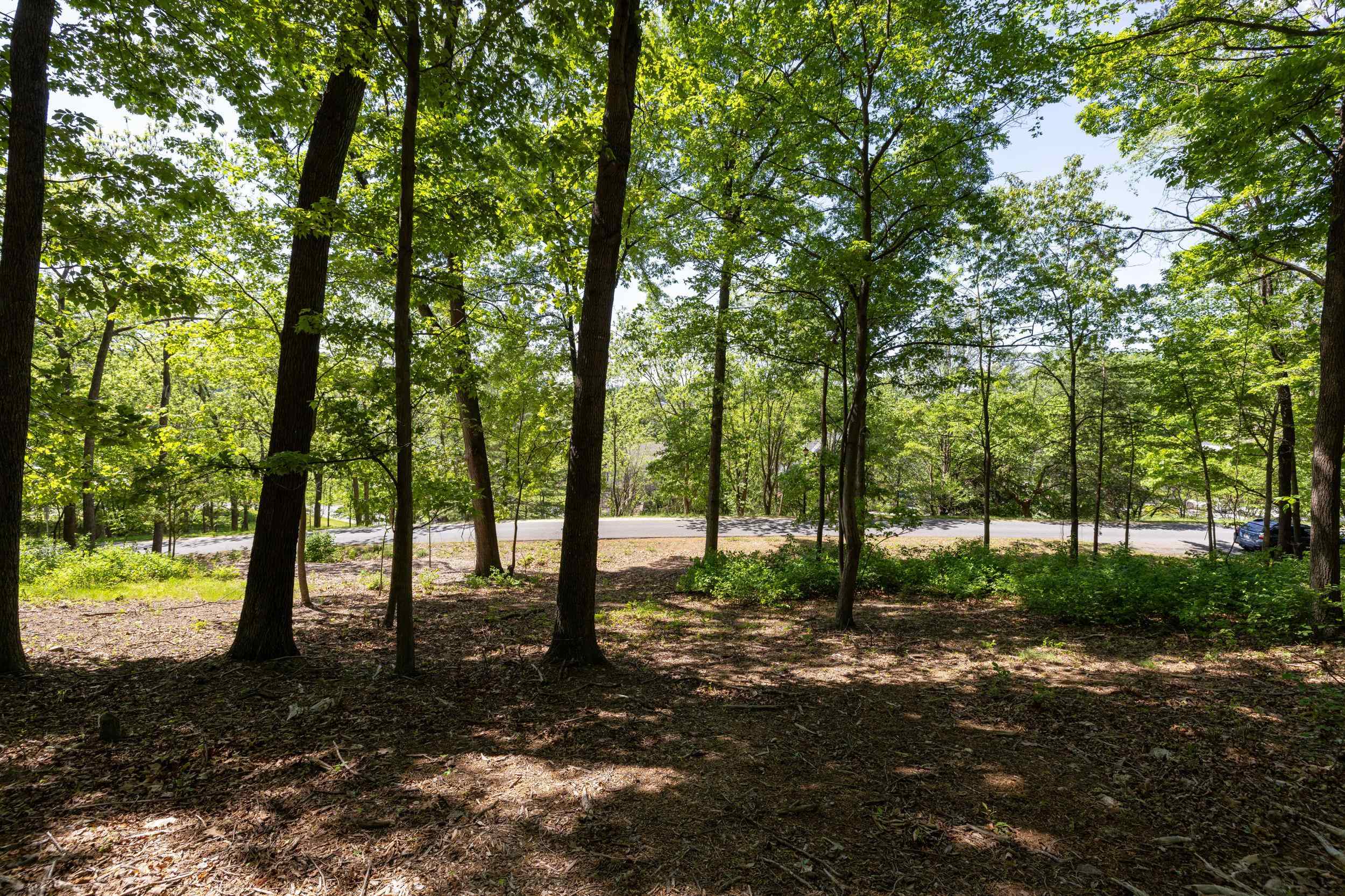 2261 PEARL LN, HARRISONBURG, Virginia 22801, ,Land,2261 PEARL LN,664521 MLS # 664521
