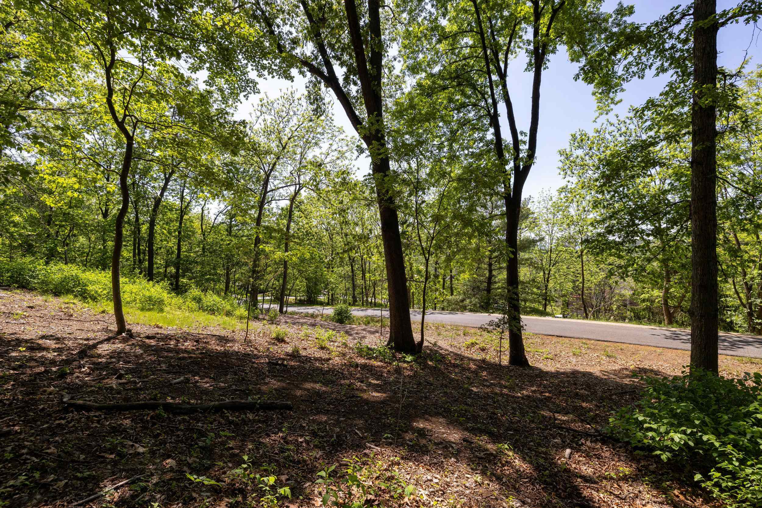 2261 PEARL LN, HARRISONBURG, Virginia 22801, ,Land,2261 PEARL LN,664521 MLS # 664521