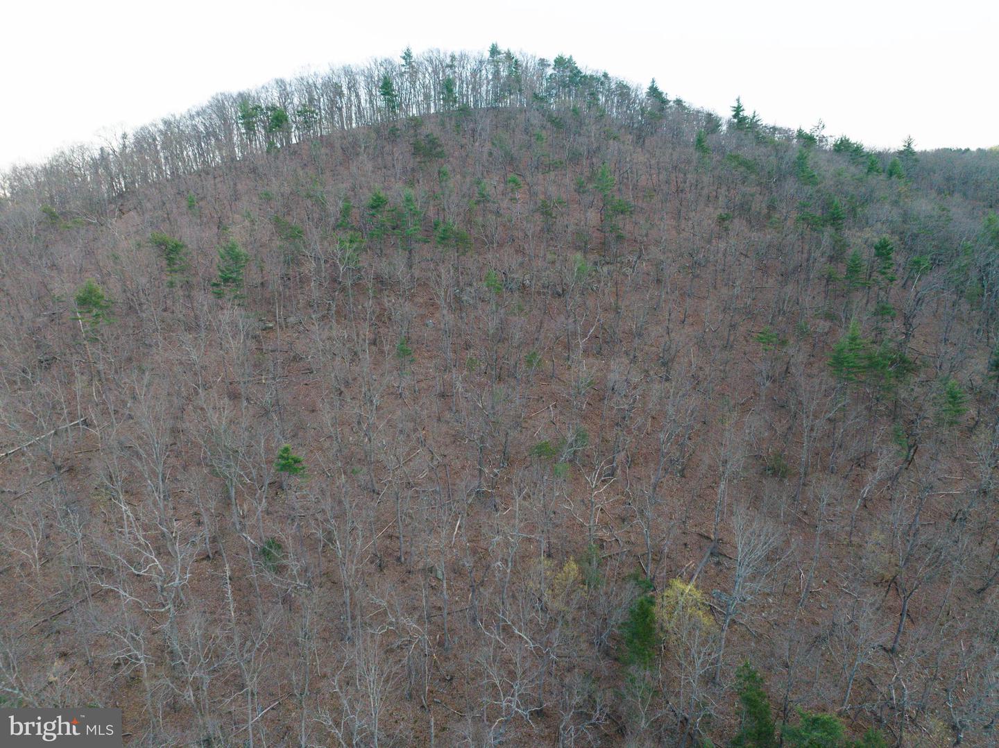 CRIDERS RD, BERGTON, Virginia 22811, ,Farm,For sale,CRIDERS RD,VARO2002180 MLS # VARO2002180