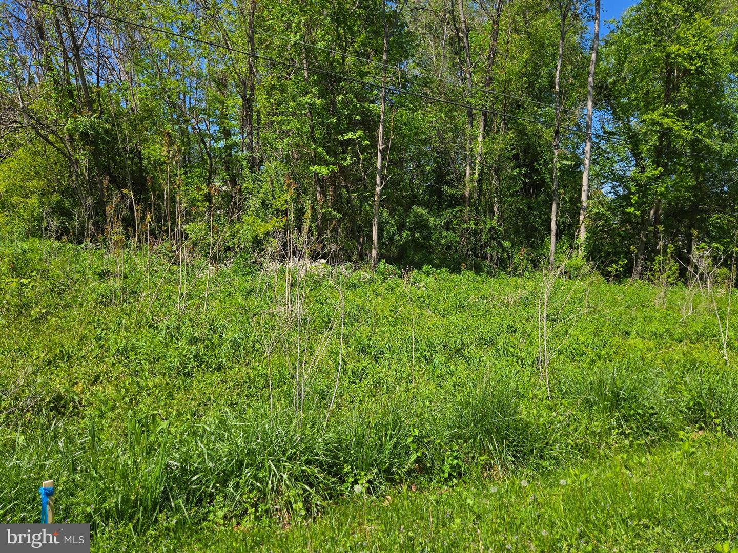 DOGWOOD DRIVE #662, LOUISA, Virginia 23093, ,Land,For sale,DOGWOOD DRIVE #662,VALA2007846 MLS # VALA2007846