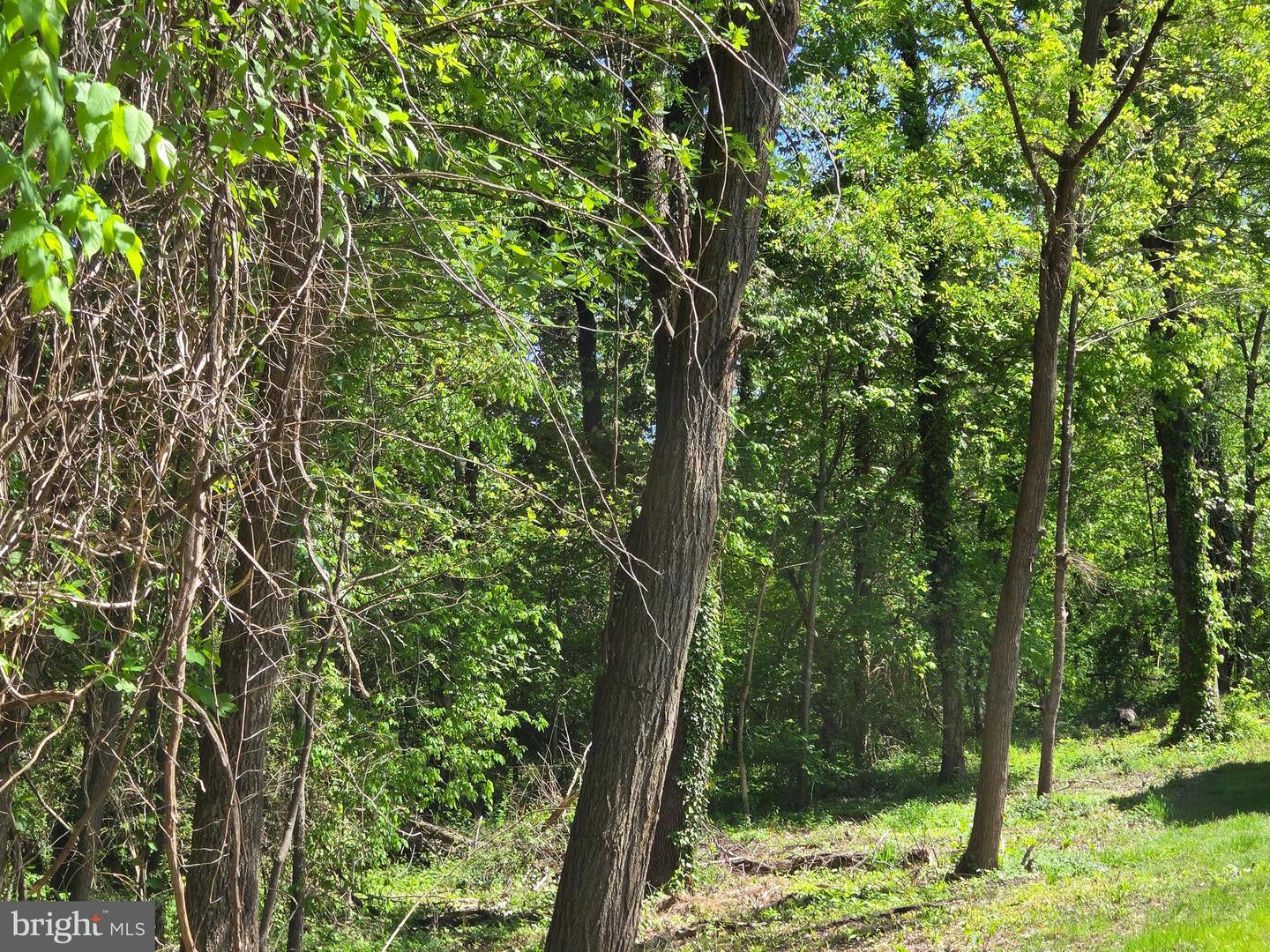 DOGWOOD DRIVE #662, LOUISA, Virginia 23093, ,Land,For sale,DOGWOOD DRIVE #662,VALA2007846 MLS # VALA2007846
