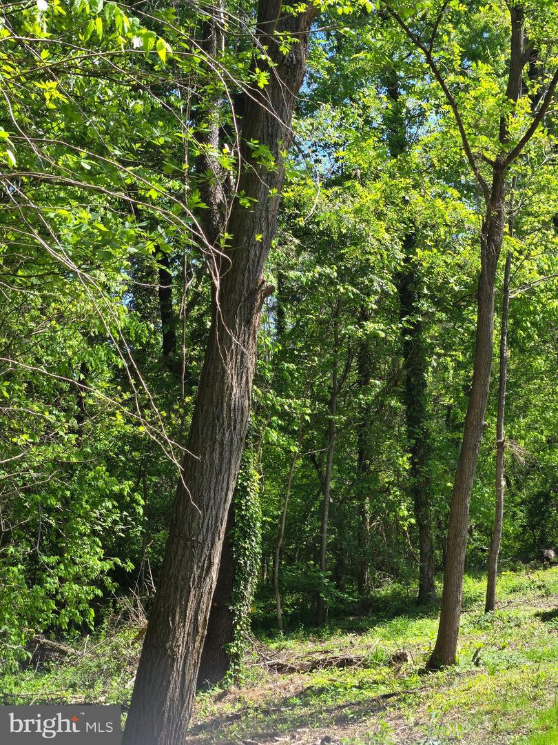 DOGWOOD DRIVE #662, LOUISA, Virginia 23093, ,Land,For sale,DOGWOOD DRIVE #662,VALA2007846 MLS # VALA2007846