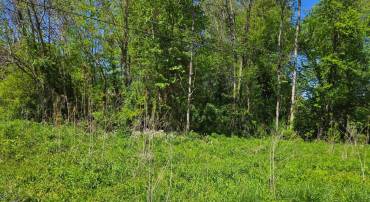 DOGWOOD DRIVE #662, LOUISA, Virginia 23093, ,Land,For sale,DOGWOOD DRIVE #662,VALA2007846 MLS # VALA2007846