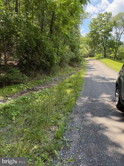 LIGHT ROAD, WINCHESTER, Virginia 22603, ,Land,For sale,LIGHT ROAD,VAFV2034082 MLS # VAFV2034082