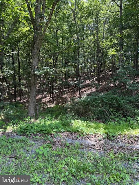 LIGHT ROAD, WINCHESTER, Virginia 22603, ,Land,For sale,LIGHT ROAD,VAFV2034082 MLS # VAFV2034082