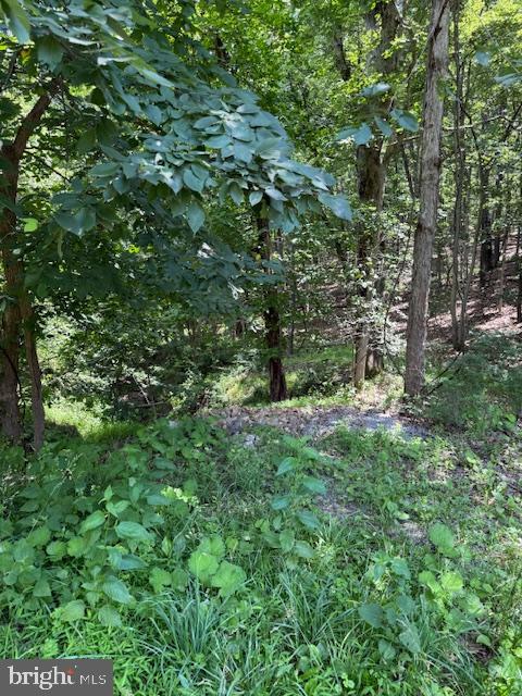 LIGHT ROAD, WINCHESTER, Virginia 22603, ,Land,For sale,LIGHT ROAD,VAFV2034082 MLS # VAFV2034082