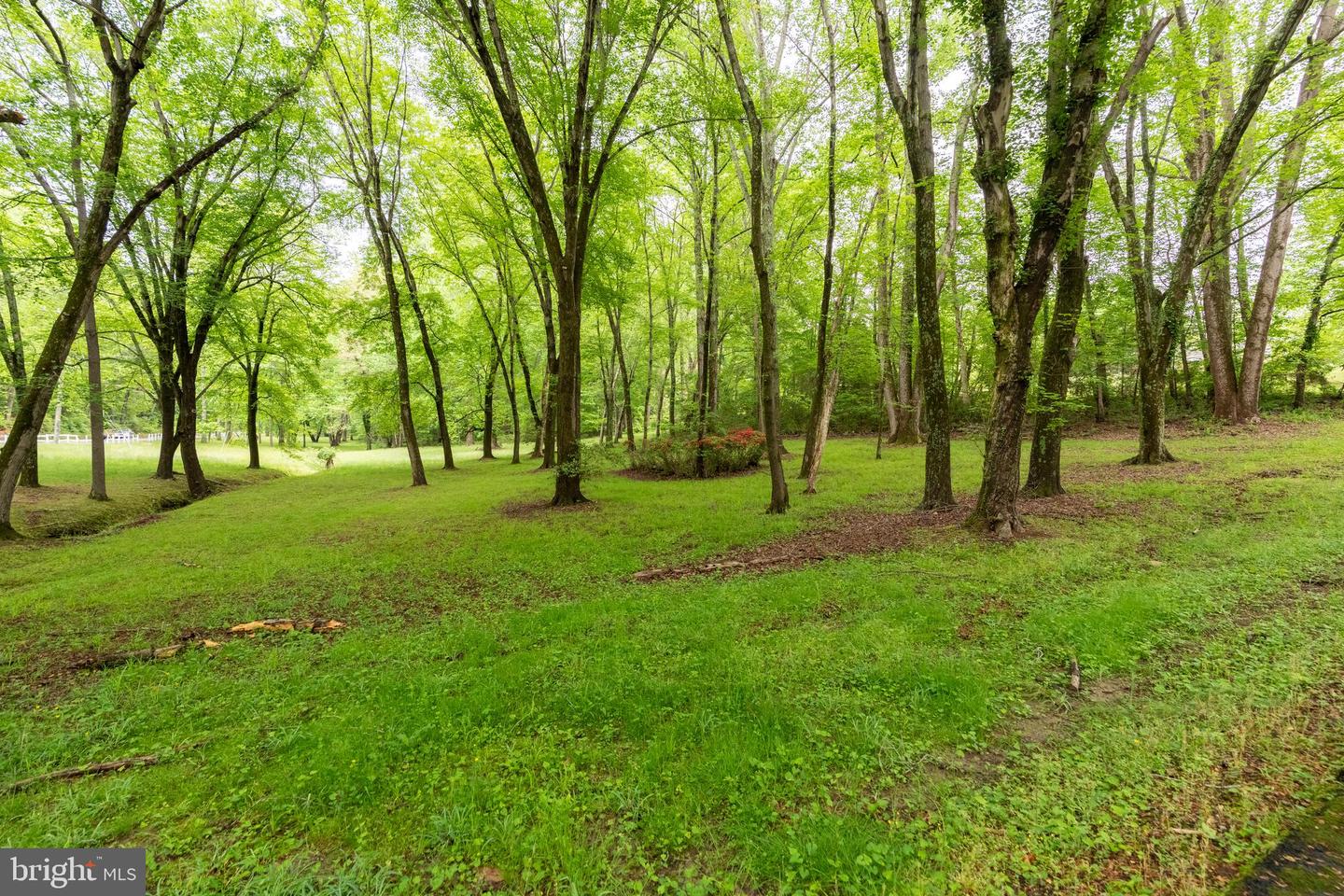 11123 POPES HEAD RD, FAIRFAX, Virginia 22030, ,Land,For sale,11123 POPES HEAD RD,VAFX2240758 MLS # VAFX2240758