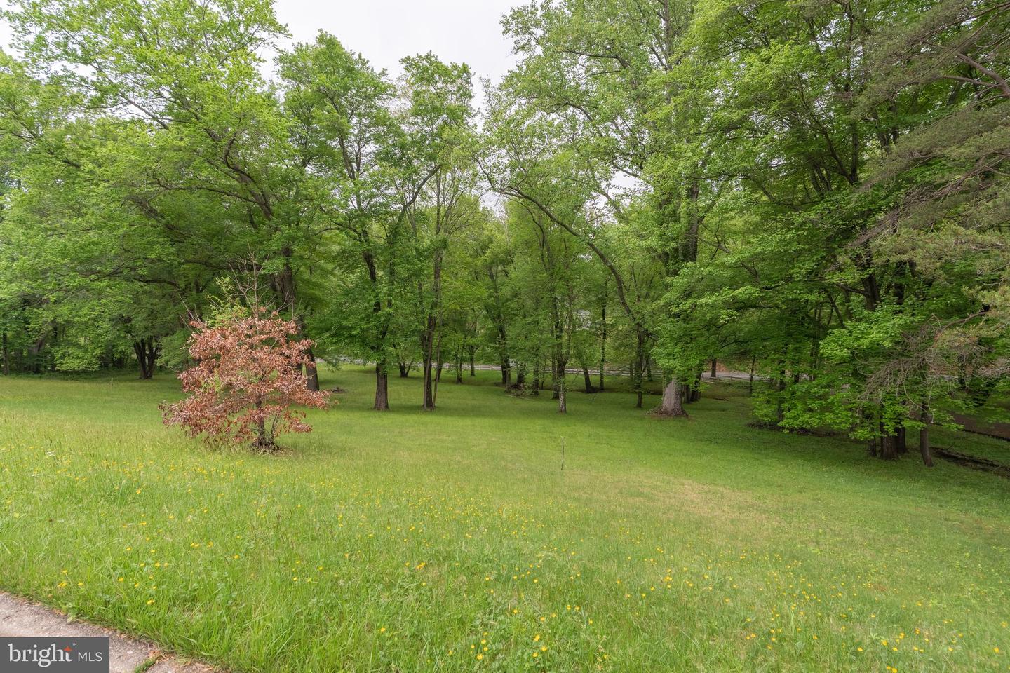 11123 POPES HEAD RD, FAIRFAX, Virginia 22030, ,Land,For sale,11123 POPES HEAD RD,VAFX2240758 MLS # VAFX2240758