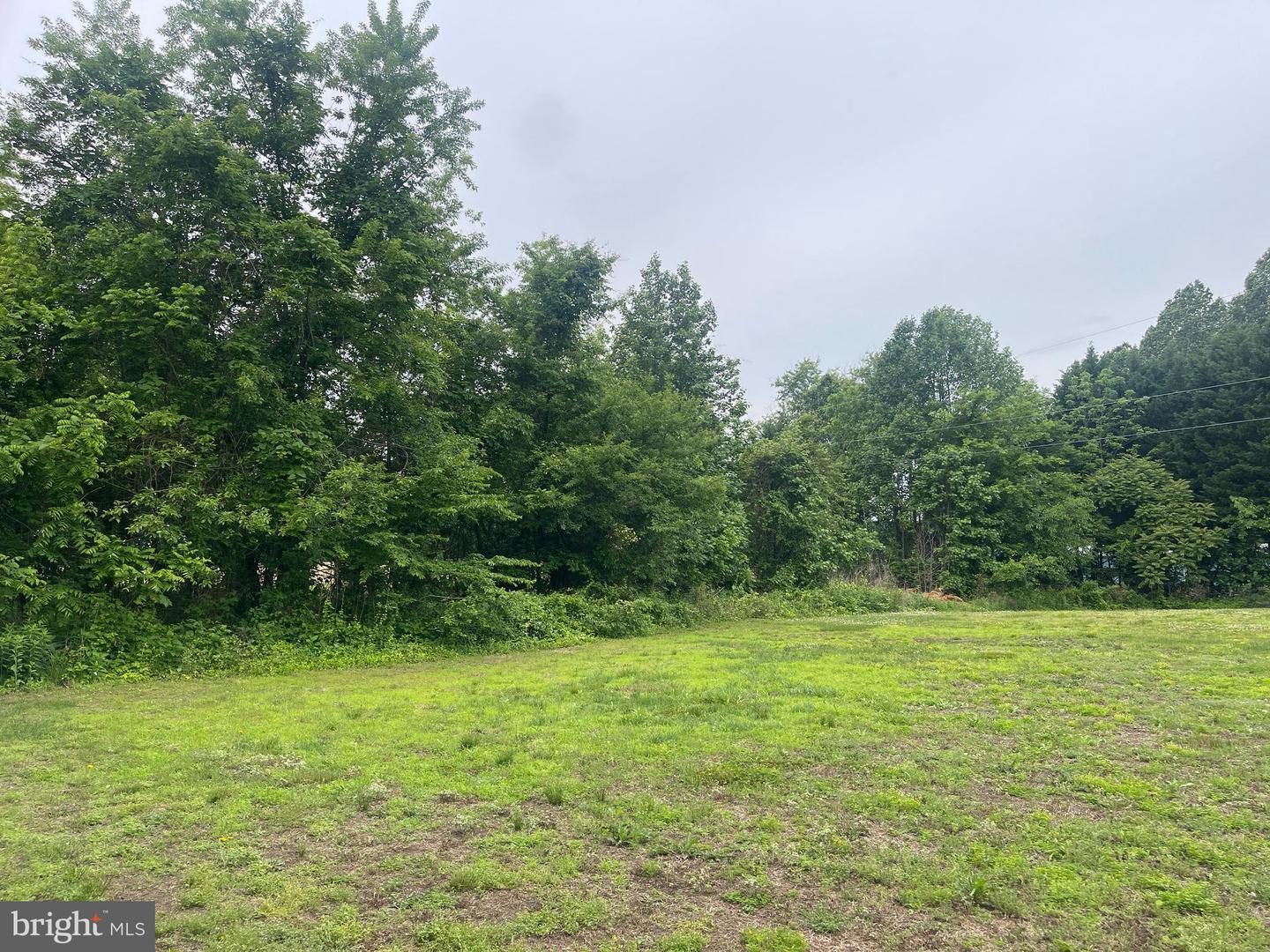 GIBEON RD, CALLAO, Virginia 22435, ,Land,For sale,GIBEON RD,VANV2001598 MLS # VANV2001598